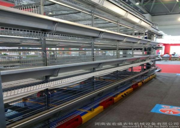Professional Poultry Egg Production Equipment For Layer Chicken Farm