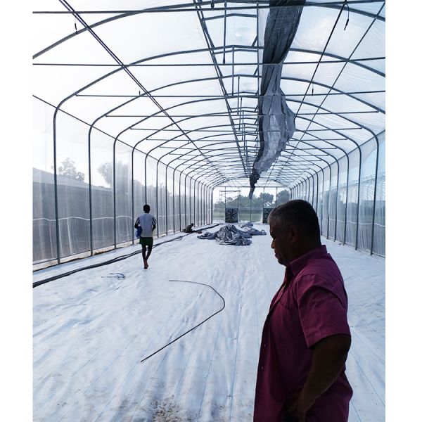 150 микрон одноразовый тепличный пластиковый пленка тепличная естественная вентиляция зонтик крыша вентиляция