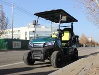 Advanced 4 Seater Golf Buggy Cart Utility Electric Golf Carts 48 Volt With Storage