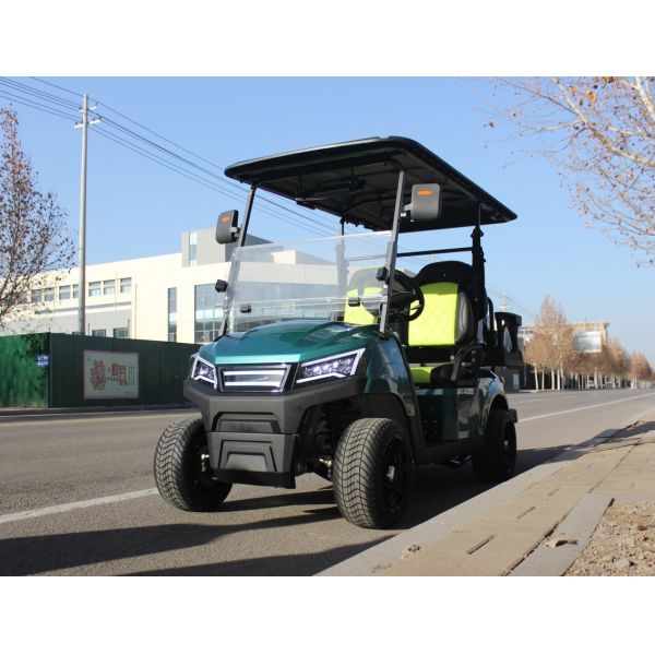 Advanced 4 Seater Golf Buggy Cart Utility Electric Golf Carts 48 Volt With Storage