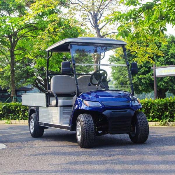 2 4 6 Seater Golf Car Battery Power Electric Golf Cart Lead Acid Or Lithium Battery