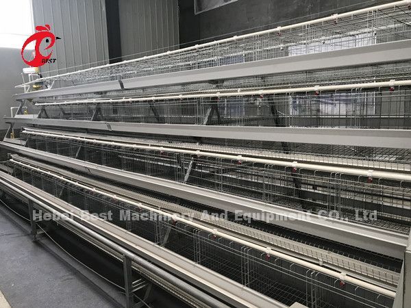 Тип автоматическая система клетки сельского хозяйства птицы для слоев играет главные роли