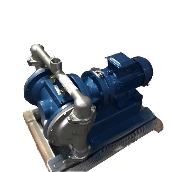 100L/min Industrial Diaphragm Pump Electric Chemical Processing Pumps