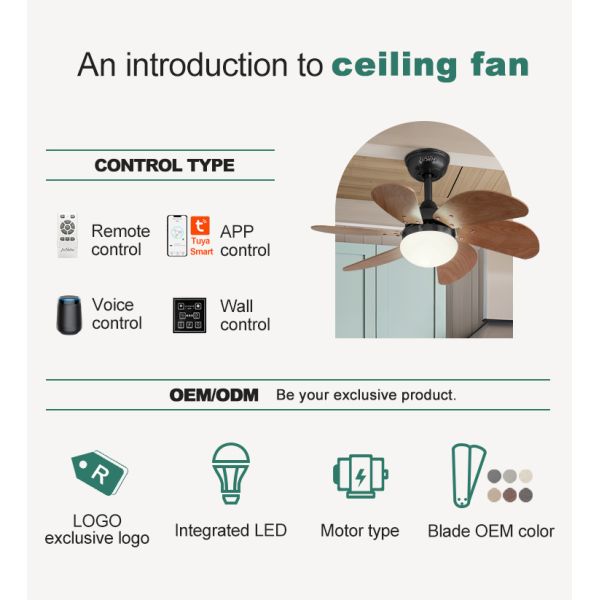 1stshine/OEM Logotipo 6 lâmpadas Kit de luz LED Residencial BLDC ventilador de teto com 2-