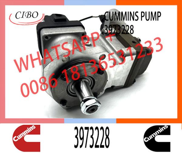6745-71-1170 6745-71-1010 3973228 4954200 PC300-8 Engine SAA6d114 Qsc Excavator Fuel Pump
