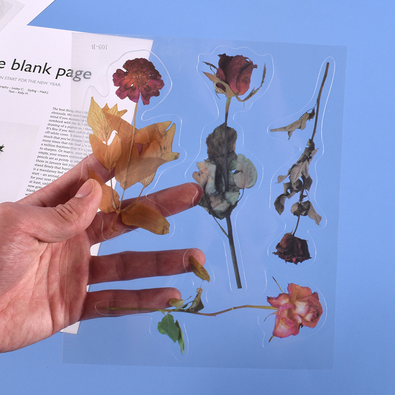 DIY Drip Glue Multiple Simulated Transparent Dried Flower Filling Decoration Materials Paper Hand Account Stickers Wholesale in Stock
