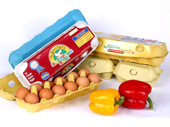 Предварительные методы Egg машина подноса, роторный тип машина прессформы HR-2000~HR-8000 пульпы