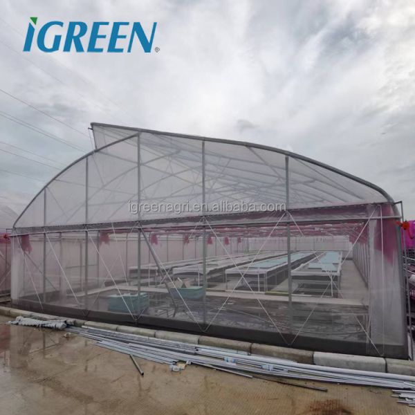 Commercial Tropical Roof Vent Single-span Large Greenhouses Hot Dipped Galvanized Steel Film Cover for Tomato Lettuce Pepper