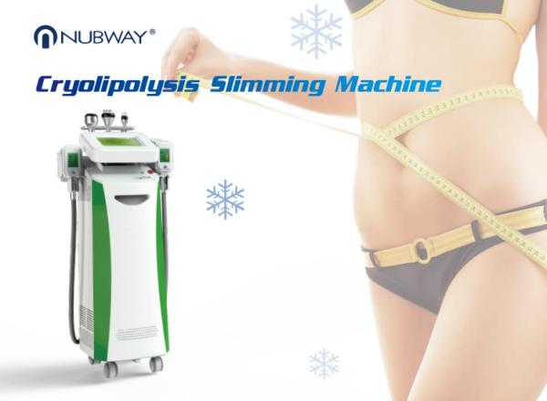 Cool tech fat freezing machine fat sculpting machine 2 handles work together cryolipolysis slimming