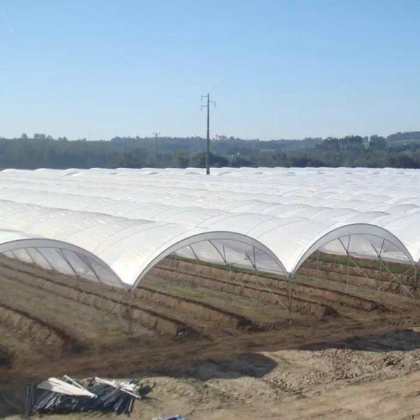 Diffused Plastic Tunnel Greenhouse 150 200 micron Berry Farm Planting Rain Shelter Green House strawberry