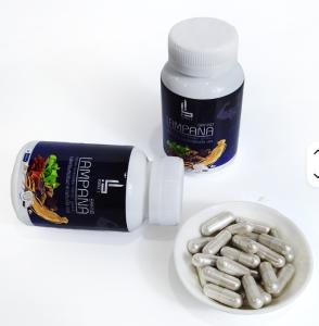 Wholesale Selected Maca Capsules Natural Herbal Plant Extracts Dietary Fiber