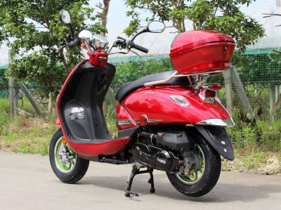 Horizontal Engine Mini 50cc Motocross Bikes With 10 Aluminium Rim
