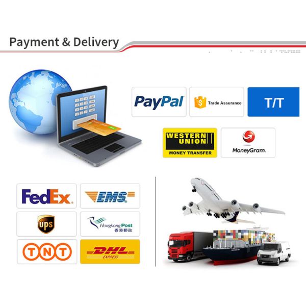 Needle Bearings F-224443-0050 For 5LD 4R44E 5R55E Automatic Transmission