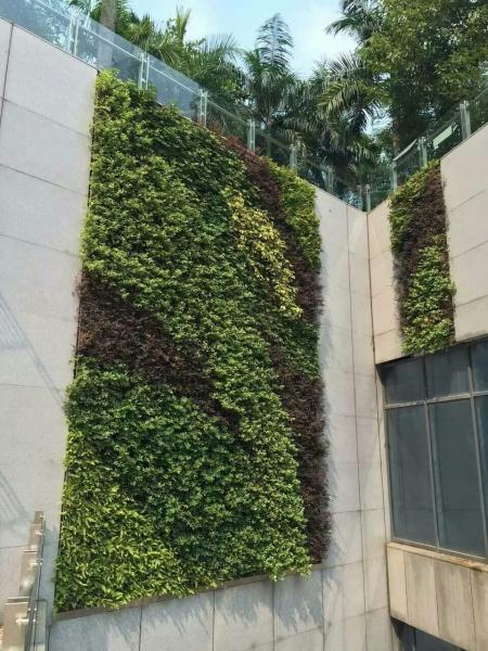 Esverdeamento vertical antienvelhecimento da folha do PE decorativo para ajardinar