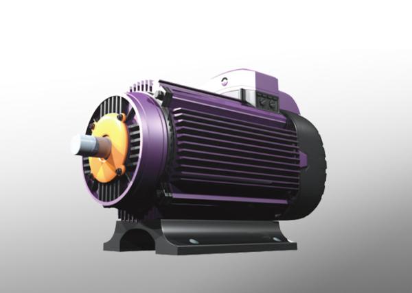 Microelectronic Control UH Ndfeb Permanent Magnet Intelligent Motor