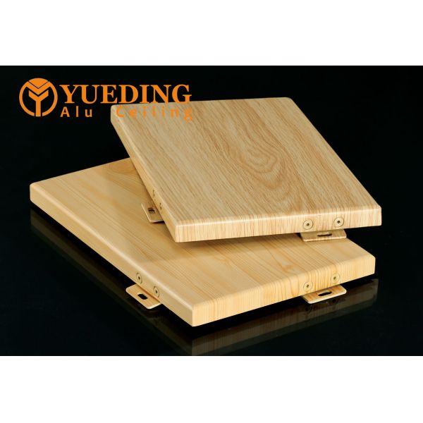 Customized Outer Wall Single Aluminum Veneer with Irregular Curved Shape