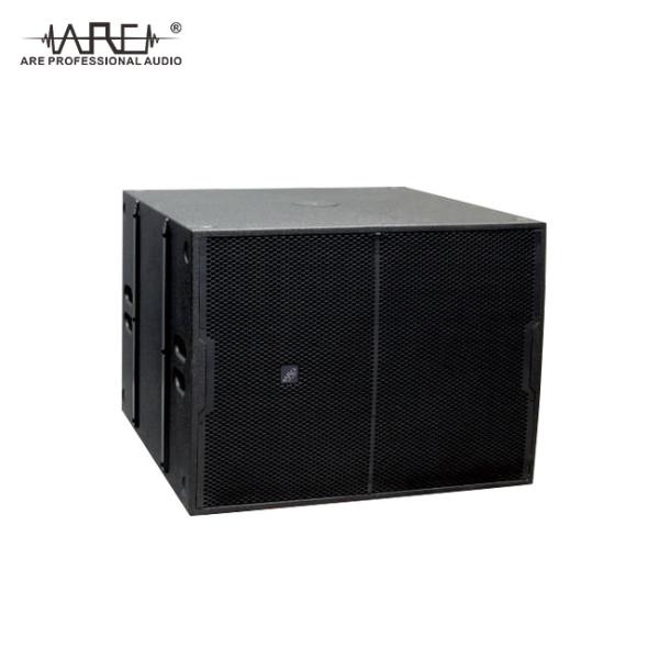 ARE AUDIO passive dual 10 inch outdoor line array speaker subwoofer system for cabaret party