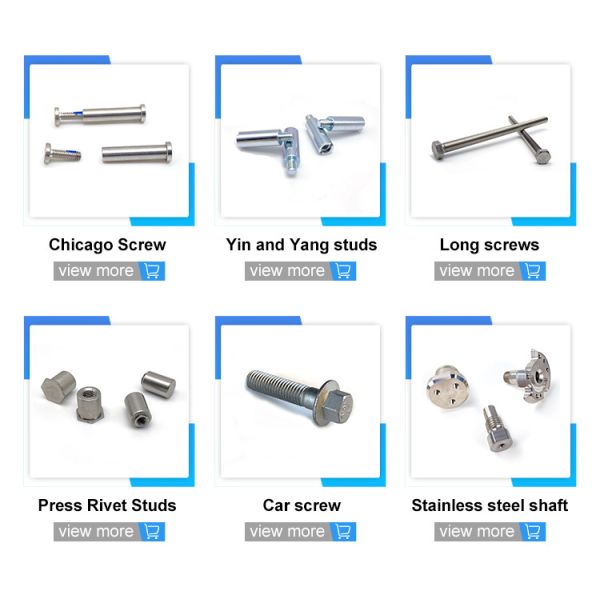 Fastener BY-0503 Special Step Shaped Car Seat Screws Spare Part for Chemical Industry
