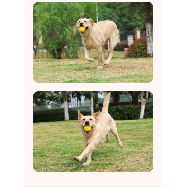 Colorful Pet Toys Made from Non Toxic Materials to Stimulate Pets and Encourage Healthy Playtime Activities