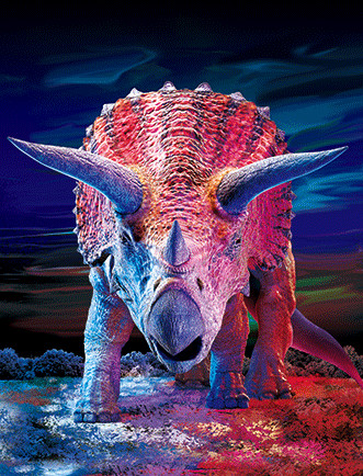 Home Decoration 3D Lenticular Pictures / Animal Print Lenticular