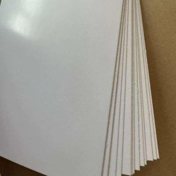 Papel de marfil antiarrugas 210/230/250/270/300gsm FBB/GC1/C1S con celulosa química y estándar