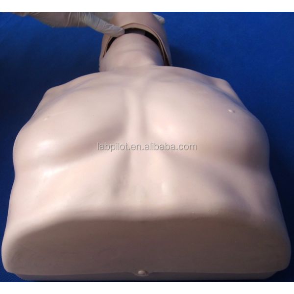 Simple Type First Aid Half Body CPR Training Manikin for School Training Facility