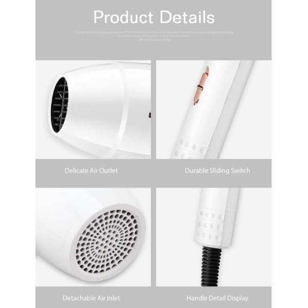 Фен для волос двойного напряжения тока аксиального потока электрический для пользы перемещения домашней