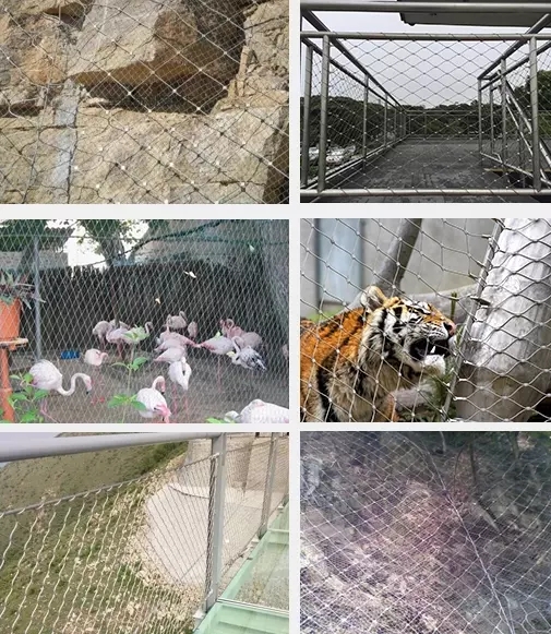 1mx30m 316 316L Stainless Steel Wire Rope Mesh