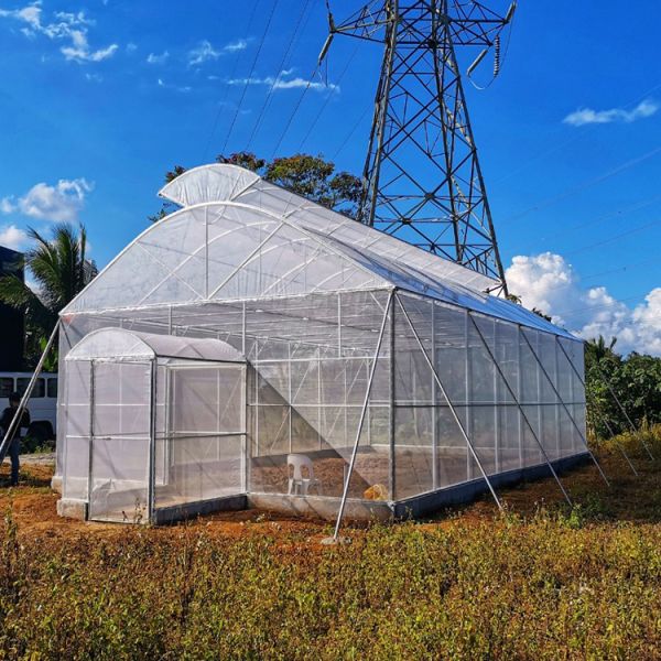 Горячая гальванизированная пластмасса рамки трубы растет тоннель