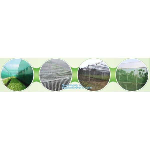 Garden tomato green house greenhouse film 3 layer eva agriculture clear plastic protective 90% transmission green house,