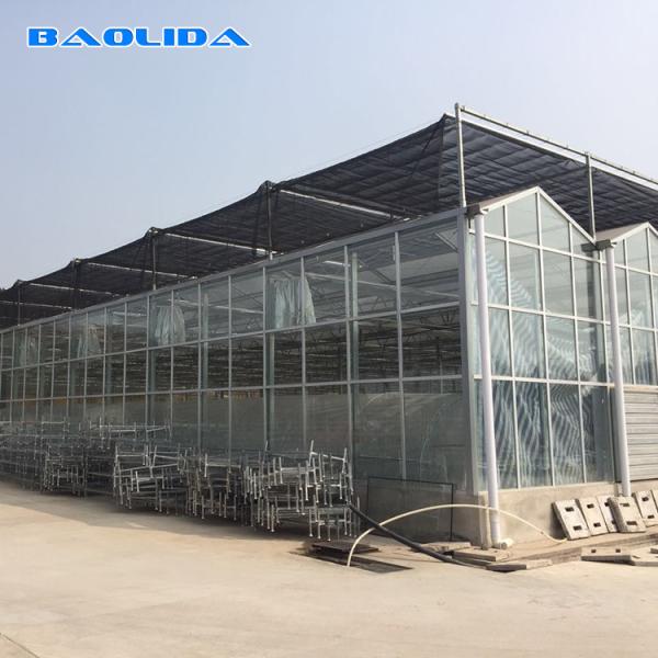 Agriculture Film Clear Polycarbonate Greenhouse Transparent Square Steel Frame Coating
