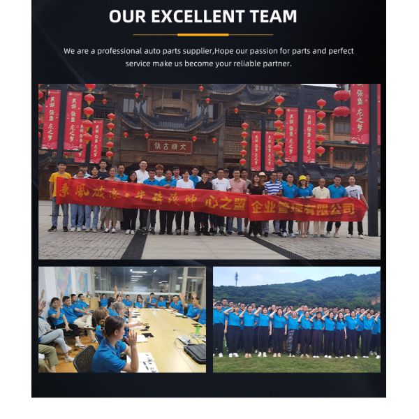 Автоматическое напрягающее колесо для Maxus G10 T60 T70 OE SMW252062 в DHL FEDEX EMS UPS