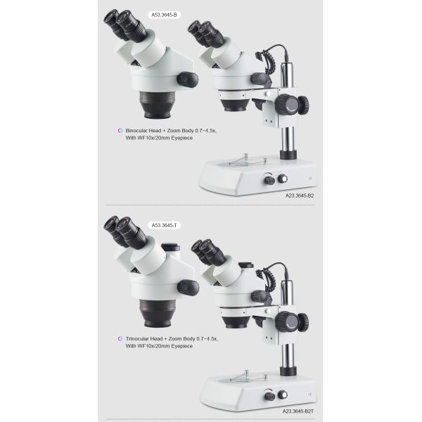 Halogen Lamp Binocular Stereoscopic Microscope 12v 15w Good Color Rendering