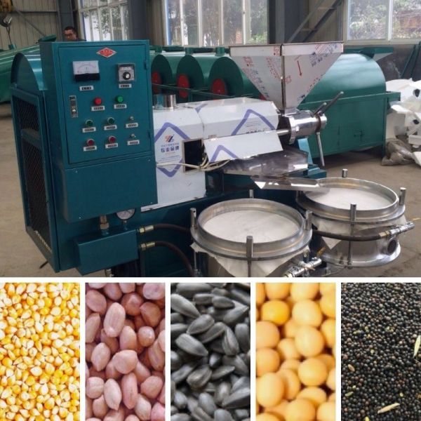 Sunflower Screw Spiral Oil Press Machine for All Your Sesame Oil Extraction Needs