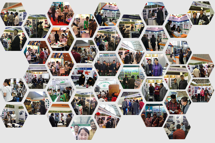 Shandong Yuejiang Machinery Co., Ltd