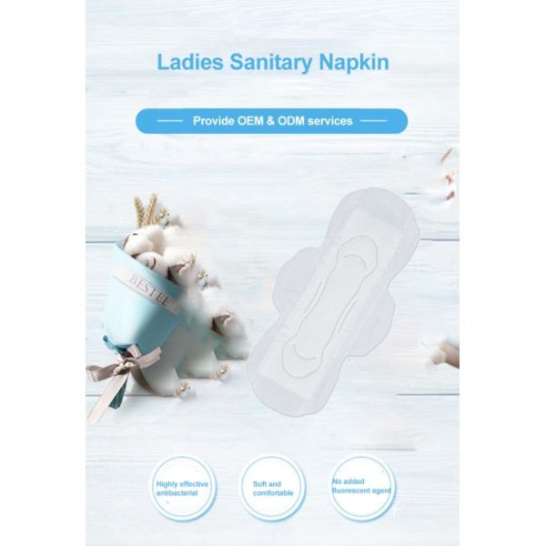 Leak Guard 245mm Menstrual Period Anion Chip Sanitary Pad