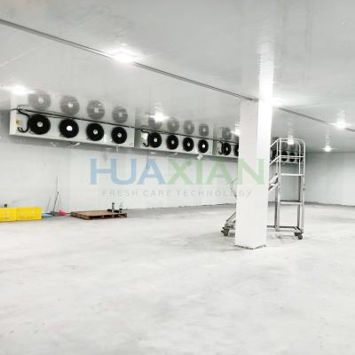 China Commercial Frozen Meat Seafood Beef Chicken Shocking Walk in Freezer Cold Room