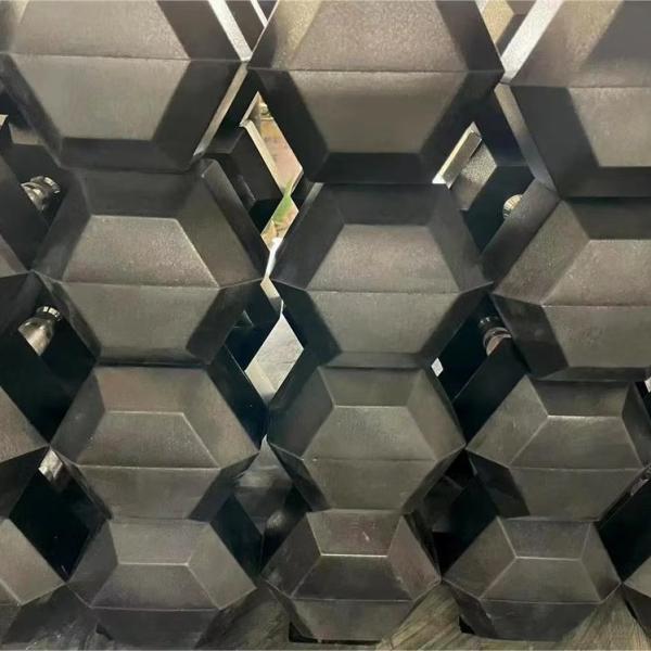 GRATUIT GRATUIT Pesour en caoutchouc Hex Dumbbells ensemble Paire Hexagonal Dumbbell pour l' entraînement de la force
