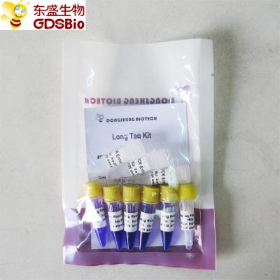 Mistura mestra #P3062 5ml do PCR do jogo longo de Taq