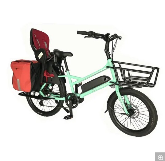 20 Magnesium Alloy Frame Ananda Bafang MID Drive Electric Bike for Family or Cargo Delivery