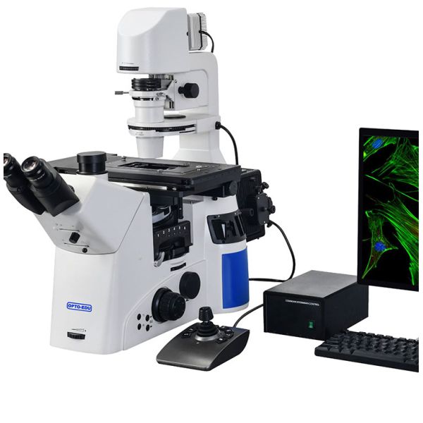 OPTO-EDU A16.1098 lleno motorizó el FB/el pH/el PL/FL/DIC optos de Edu Microscope Semi APO