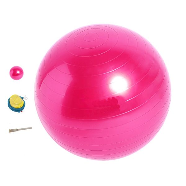 55cm 65cm 75cm Stability Pilates Fitness Gym Exercise Yoga Ball for Home Gym Core Training