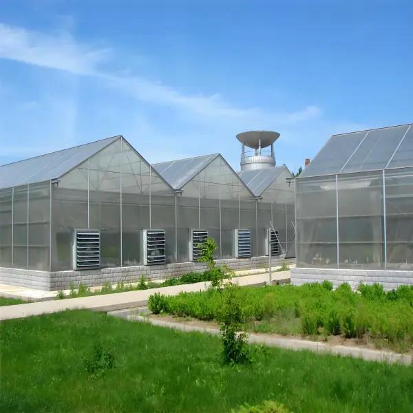 Invernadero Venlo de policarbonato para flores con sistemas de sombreado