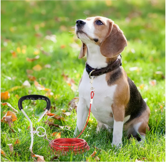 Blue Medium Duty 20FT Dog Tie Out Cable with 920 Lbs Break Strength for Dogs up to 50 Lbs