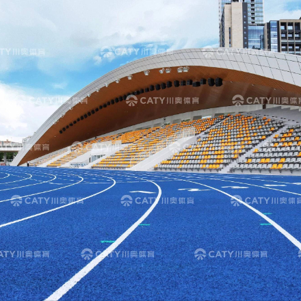 High Performance EPDM Rubber Playground Surface Rubber Track For Running Outdoor Play Area Flooring