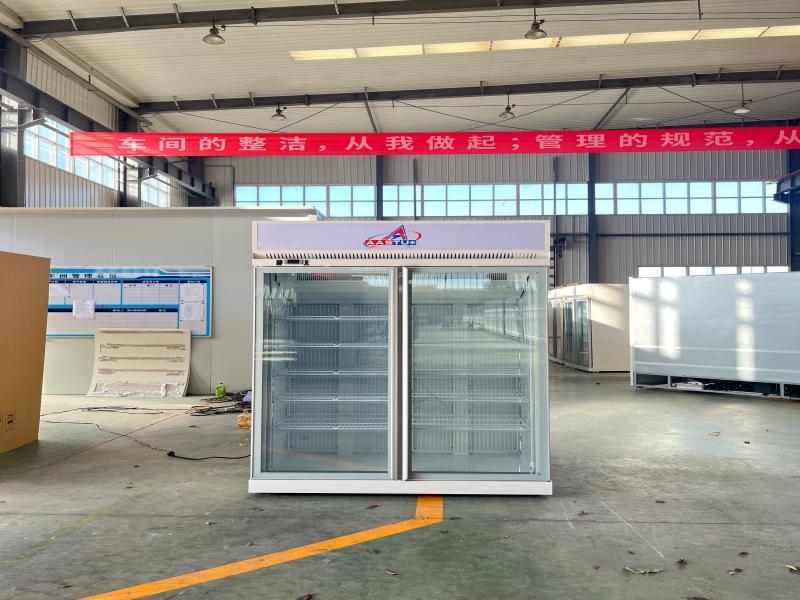 TRIMA F Energy-Saving Glass Door Freezer
