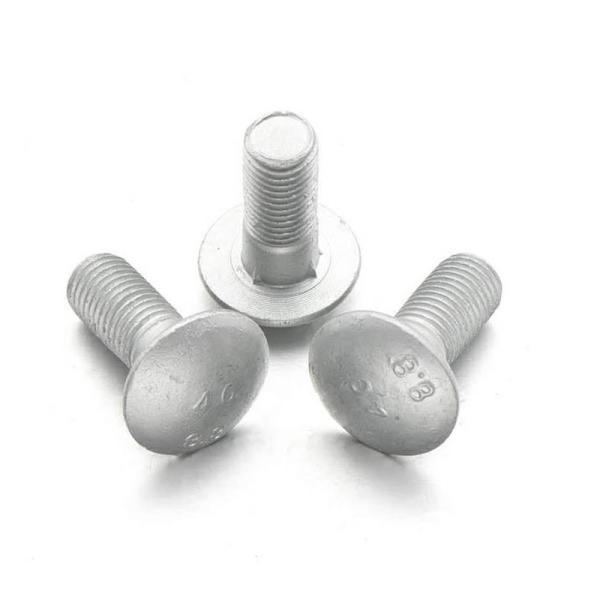 ASTM A307 de aço inoxidável encantam os parafusos e o treinador Bolts do transporte das porcas M5