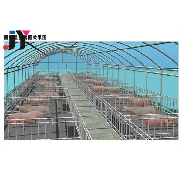 Steel Fabricated House for 10000 Pigs Prefabricated Steel Frame Pig Farm Building
