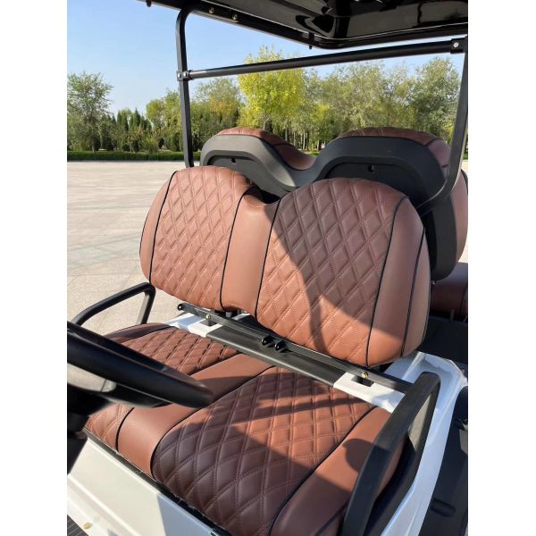 Customizable 60V 3.5KW AC System 4 Seater Golf Cart Door to Door Shipping