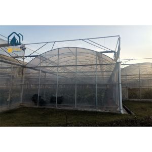 Rainwater Collection Gutter Multi Span Greenhouse with Water Recycling System for Sustainable Agriculture